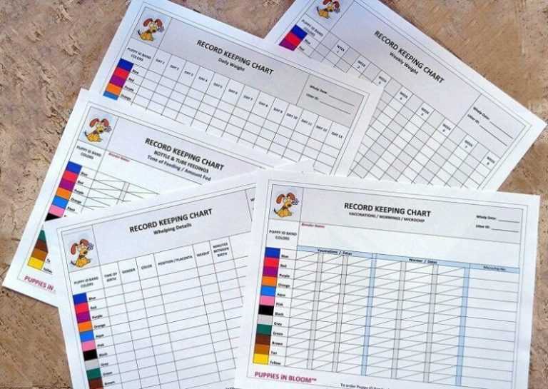 record-keeping-charts-for-breeders-free-printable-puppy-forms-for-dog-grooming-record-card